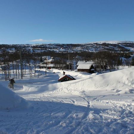 Apartamento Bergfosshytta Ron Exterior foto